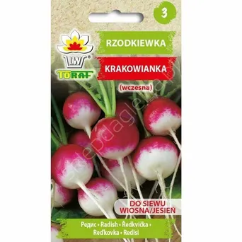 Rzodkiewka Krakowianka z białym końcem 10g T 