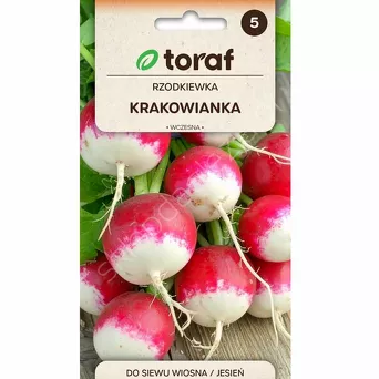 Rzodkiewka Krakowianka z białym końcem 10g T 