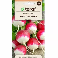 Rzodkiewka Krakowianka z białym końcem 10g T 