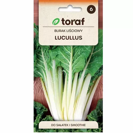 Burak liściowy Lucullus 5g T