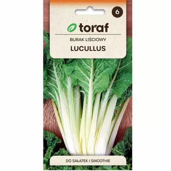 Burak liściowy Lucullus 5g T