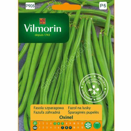Fasola Oxinel 30g Vilmorin