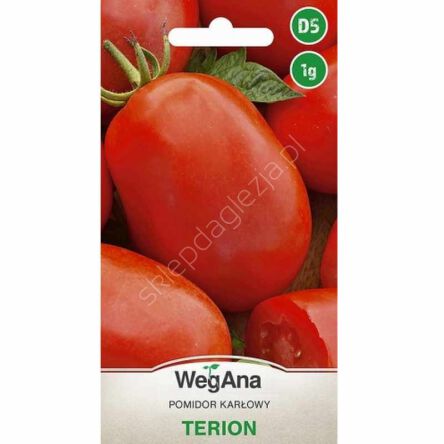Pomidor Terion 1g W 