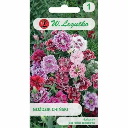 Goździk chiński mix 1g L