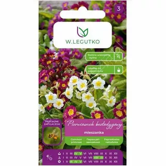 Pierwiosnek bezłodygowy mieszanka 0,1g  L