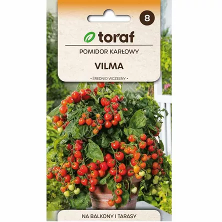 Pomidor Vilma gruntowy karł.  0,3g T
