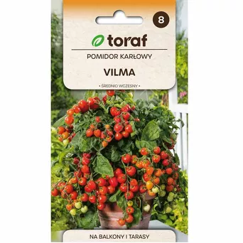 Pomidor Vilma gruntowy karł.  0,3g T 