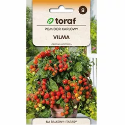 Pomidor Vilma gruntowy karł.  0,3g T 