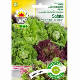 Sałata mix odmian 7m T 
