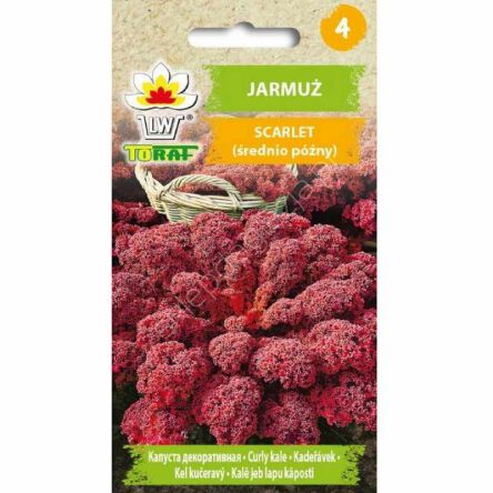 Jarmuż Scarlet  2g czerwony TORAF