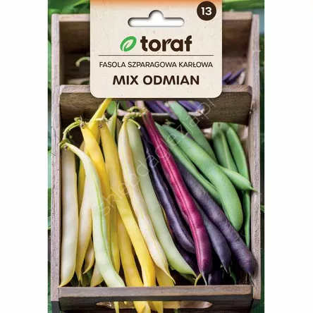 Fasola szparagowa mix karłowa 40g T