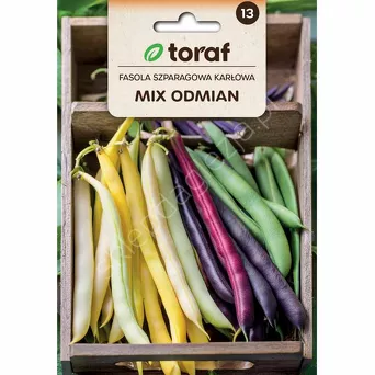 Fasola szparagowa mix karłowa 40g T