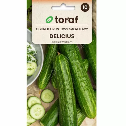 Ogórek Delicius  gładki 5g T