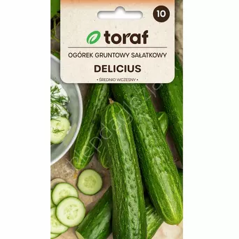 Ogórek Delicius  gładki 5g T