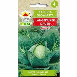 Kapusta biała Langedijker Dauer 2g T