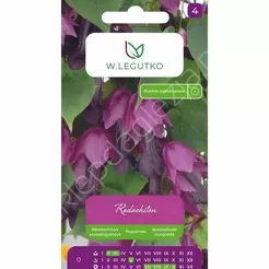 Rodochiton fioletowy 6nas.  L