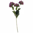 Hortensja x3  62cm mix