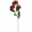 Hortensja x3  62cm mix