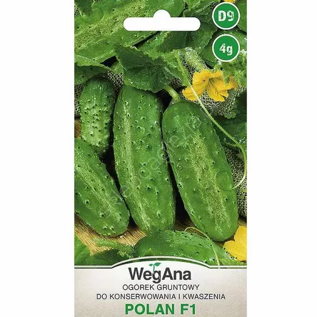 Ogórek Polan konserwowy F1 4g W