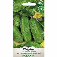 Ogórek Polan konserwowy F1 4g W