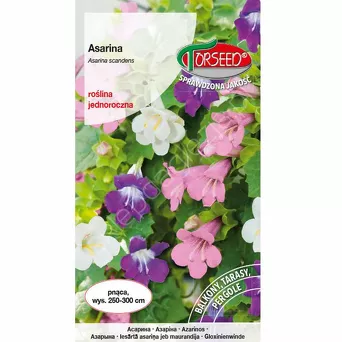 Asarina - pnacze - mieszanka 10 szt  To