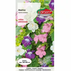 Asarina - pnacze - mieszanka 10 szt  To