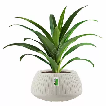 Doniczka Pr TCB40 CORO BOWL - piaskowy