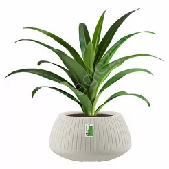 Doniczka Pr TCB40 CORO BOWL - piaskowy