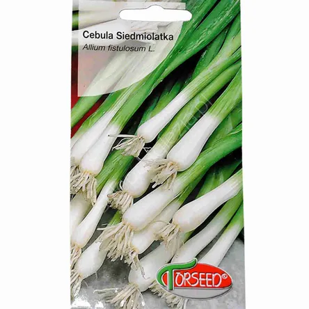 Cebula siedmiolatka Kroll   0,5g Torseed