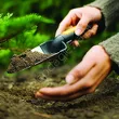 Łopatka Premium Planters - 3