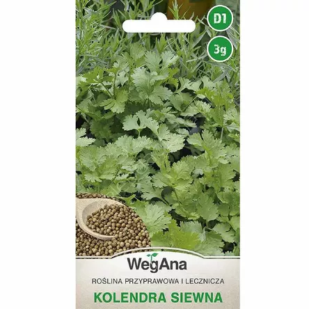 Kolendra siewna 3g W