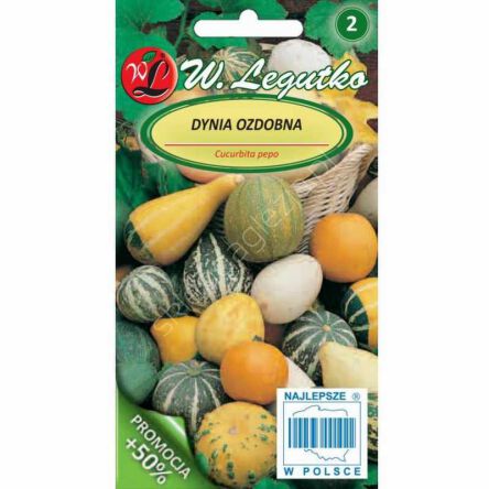Dynia ozdobna mieszanka dro 3g  L, dynie ozdobne