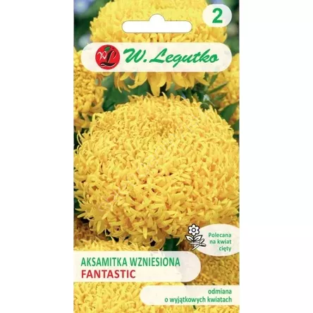 Aksamitka wzniesiona Fantastic żółta 0,30g L