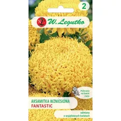 Aksamitka wzniesiona Fantastic żółta 0,30g L