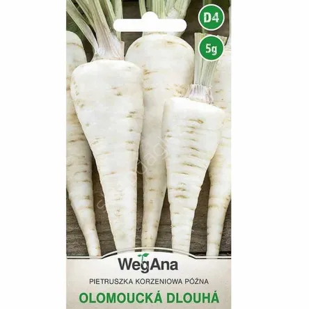 Pietruszka Olomoucka Dlouha 5g W 