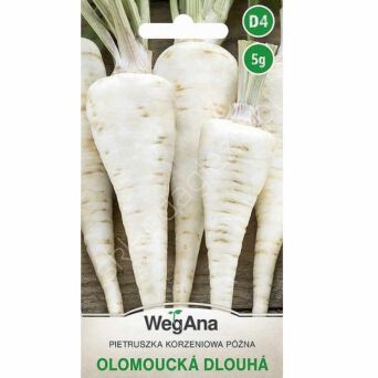 Pietruszka Olomoucka Dlouha 5g W 