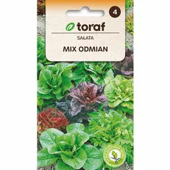 Sałata Mix odmian 1g T 