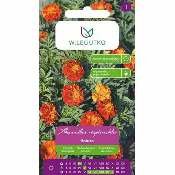 Aksamitka rozp Bolero 1g L