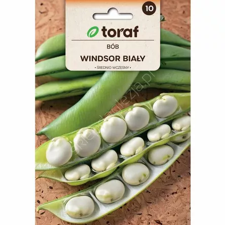 Bób Windsor Biały 50g T