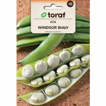 Bób Windsor Biały 50g T 