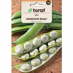 Bób Windsor Biały 50g T 