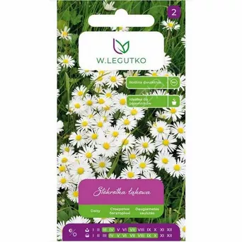 Stokrotka pospolita biała 0,2g L