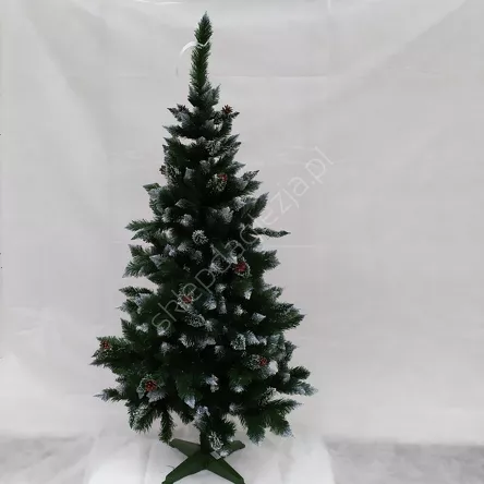 Choinka 1,80m Sosna szroniona z szyszką