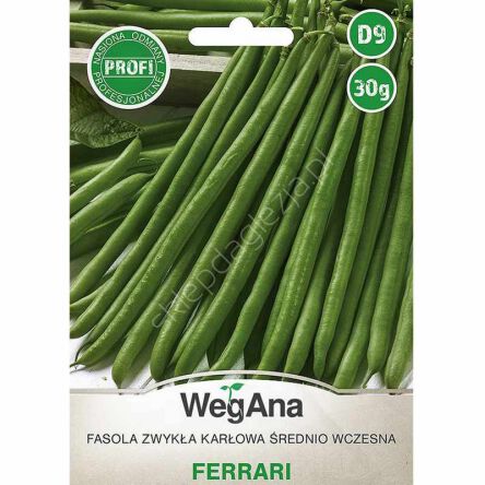 Fasola szparagowa zielona Ferrari 30g karłowa W