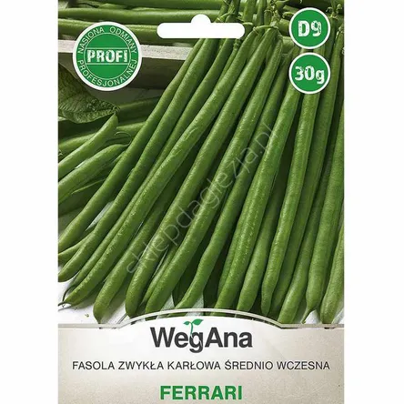 Fasola szparagowa zielona Ferrari 30g karłowa W