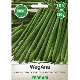 Fasola szparagowa zielona Ferrari  karłowa 30g W