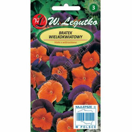 Bratek wielokwiatowy Orange Violet 0,30g  L