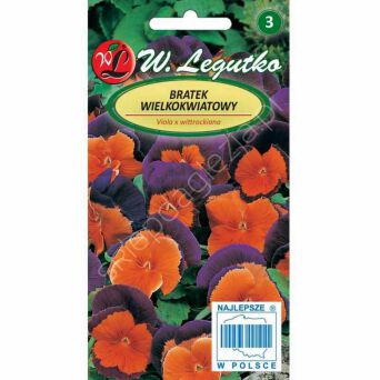 Bratek wielokwiatowy Orange Violet 0,30g  L