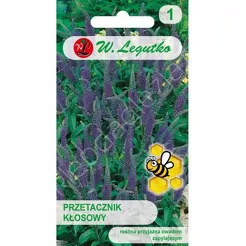 Przetacznik kłosowy 0,1g L