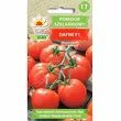 Pomidor szklarniowy Dafne 0,2g Toraf
